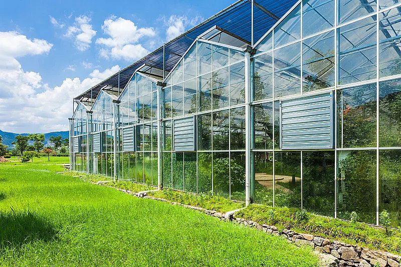 application of negative exhaust fans in greenhouse application of negative exhaust fans in greenhouse