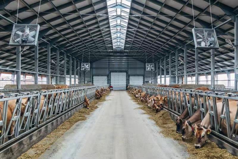 exhaust fans used in poutry farm exhaust fans used in poutry farm