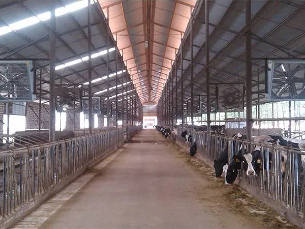 exhaust fans used in poutry farm